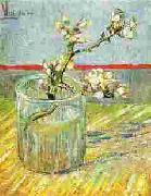 Vincent Van Gogh Blooming Almond Stem in a Glass oil painting reproduction
